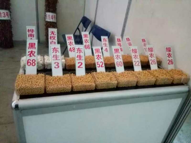 1479374776776380.jpg QQ圖片20161117174440.jpg